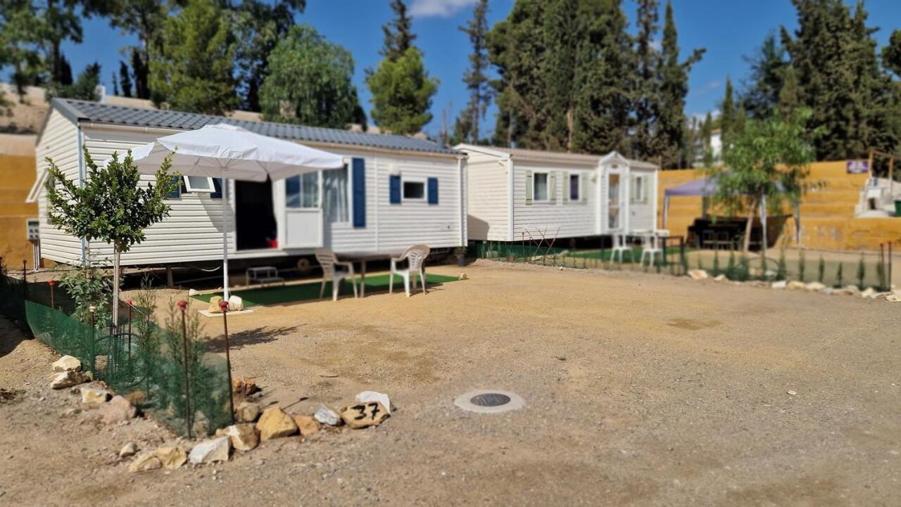 Camping Albox Camping